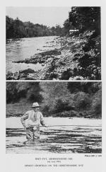 Taverner, Salmon Fishing.