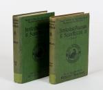 Mitchel, Jail Journal – Irishleabhar Priosuin