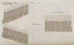 Archaeologia Graeca: Or, The Antiquities of Greece – Volume the Second – Containing: I. The Military Affairs