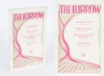 Alice Curtayne – Publications in Irish Periodicals