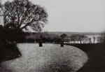 Hodges, Cork and County Cork in the Twentieth Century / Contemporary Biographies