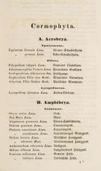Aichhorn, Verzeichniss jener Pflanzen, welche im botanischen Garten des steierm. ständ. Joanneums