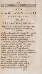 Pincier, Johannes / Pincierus, Johannes / Adam Gottlob von Moltke, Otium Marpurg