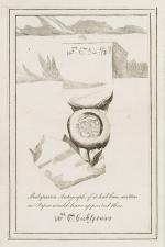 [Shakespeare, William] – Rare Edmond Malone Edition (Dublin 1794) – The Plays and Poems of William Shakspeare [sic], in Sixteen Volumes [15 Volumes only since Volume 9 is missing]