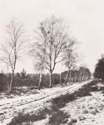 Eduard Gabain – Bilder aus der Südheide – Mit 188 Abbildungen nach photographischen Aufnahmen des Verfassers.