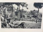 W.Minshall / R.E.Johnson / Louis Tucker – The Trinidad Portfolio – Sixteen Pictures (Original Photographs on Trinidad Carnival / Landscape / Nature etc.