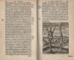 Lipsius, De Cruce Libri Tres – Ad Sacram profanamque historiam utiles.