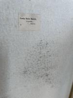[Gore-Booth, Two Manuscript Sketch-Books [12” x 10”] bearing the Bookplate “Lady Gore Booth – Lissadell, Sligo