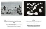 Huebler, “Crocodile Tears” – (Brief fictions re-sounding from the proposal in Variable Piece