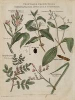 John Payne – Universal Geography – Formed Into A New And Entire System; Describing Asia, Africa, Europe And America