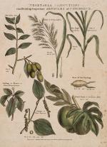 John Payne – Universal Geography – Formed Into A New And Entire System; Describing Asia, Africa, Europe And America