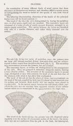 Society for the Diffusion of Useful Knowledge.