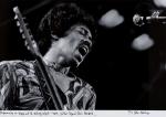 Minihan, Guitar Legend Jimi Hendrix