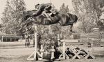 Toptani, Modern Show Jumping - The South American Method.