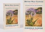 Willett, British Wild Flowers and their Garden Varieties - Cornfield Flowers.