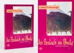 Ó Searcaigh, Homecoming - An Bealach 'na Bhaile.