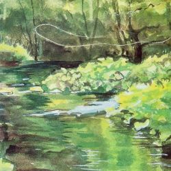 Fly Fishing Collection