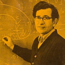 Noam Chomsky Collection